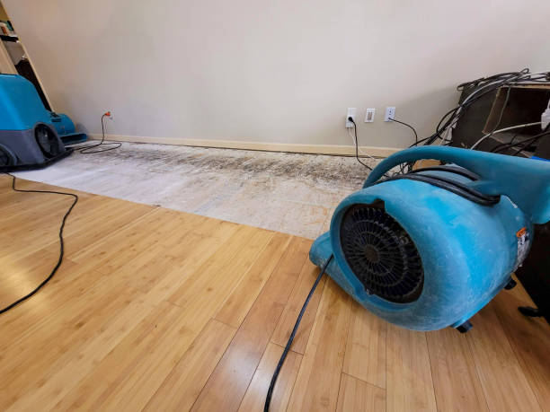 Professional Water Extraction technician working in Truro, MA